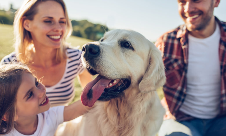 Familienfreundliche Hunderassen Welche eignen sich besonders?